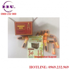 Mujarhabat kapsul malaysia điều trị xương khớp Mujarhabat kapsul malaysia điều trị xương khớp