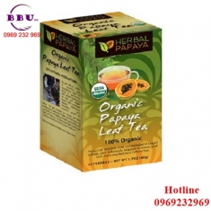 Trà đu đủ điều trị ung thư organic papaya leaf tea - 24 tea bags Trà đu đủ điều trị ung thư organic papaya leaf tea - 24 tea bags
