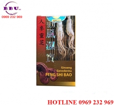 Cường lực phong thấp bảo - ginseng ganoderma feng shi bao Cường lực phong thấp bảo - ginseng ganoderma feng shi bao