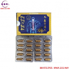 đông trùng cốt thống hoàn điều trị xương khớp đông trùng cốt thống hoàn điều trị xương khớp