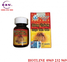 đông trùng dược tiên đơn đông trùng dược tiên đơn