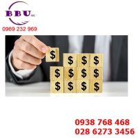 Mô tả công việc của giám đốc tài chính của bbu Mô tả công việc của giám đốc tài chính của bbu