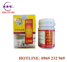 Hoa đà phong thấp linh cải thiện tình trạng đau nhức khớp [hot]