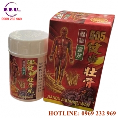 Kiện bộ tráng cốt hoàn giảm đau nhức thấp khớp [top]