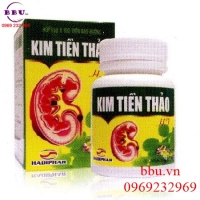 Thuốc điều trị sỏi thận hiệu quả kim tiền thảo ht