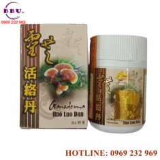 Linh chi hoạt lạc đơn - ganoderma huo luo dan [phân phối sỉ]