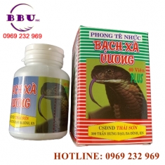 Phong tê nhức bạch xà vương giá tốt [ cập nhật]