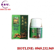 Sâm nhung khai vị kiện tỳ đại bổ hoàn - shen yong kai wei kian pi bu wan Sâm nhung khai vị kiện tỳ đại bổ hoàn - shen yong kai wei kian pi bu wan