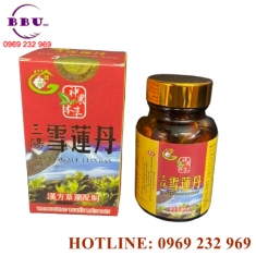 Tam dương tuyết liên đơn hỗ trợ xương khớp [phân phối sỉ]