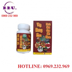 Tây dương sâm linh chi đại bổ hoàn Tây dương sâm linh chi đại bổ hoàn