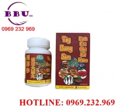 Tây dương sâm linh chi đại bổ hoàn chính hãng Tây dương sâm linh chi đại bổ hoàn chính hãng