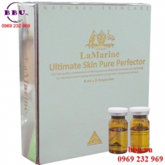 Tế bào gốc nhau thai cừu amax Tế bào gốc nhau thai cừu amax