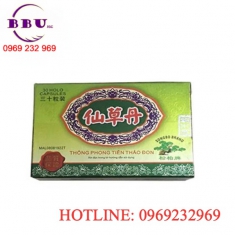 Thống phong tiên thảo đơn điều trị xương khớp Thống phong tiên thảo đơn điều trị xương khớp