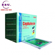Thuốc kháng sinh cephalexin 250