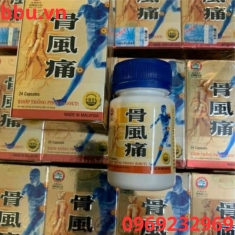 Thuốc khớp thống phong (gout) điều trị gout và xương khớp Thuốc khớp thống phong (gout) điều trị gout và xương khớp