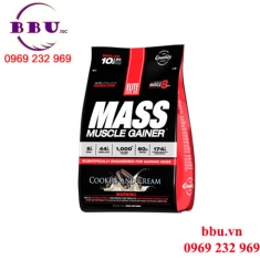Thuốc tăng cân nở cơ mass muscle gainer Thuốc tăng cân nở cơ mass muscle gainer
