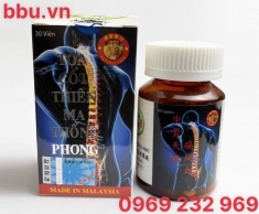 Tọa cốt thiên ma thống phong hoàn điều trị xương khớp Tọa cốt thiên ma thống phong hoàn điều trị xương khớp