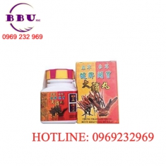 Trùng thảo sâm nhung - bổ tỳ khai vị đại bổ hoàn Trùng thảo sâm nhung - bổ tỳ khai vị đại bổ hoàn