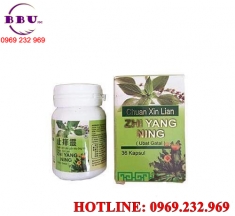 Xuyên tâm liên giải như ơng linh thanh nhiệt giải độc Xuyên tâm liên giải như ơng linh thanh nhiệt giải độc