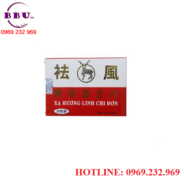 Xạ hương linh chi đơn hỗ trợ điều trị bệnh xương khớp