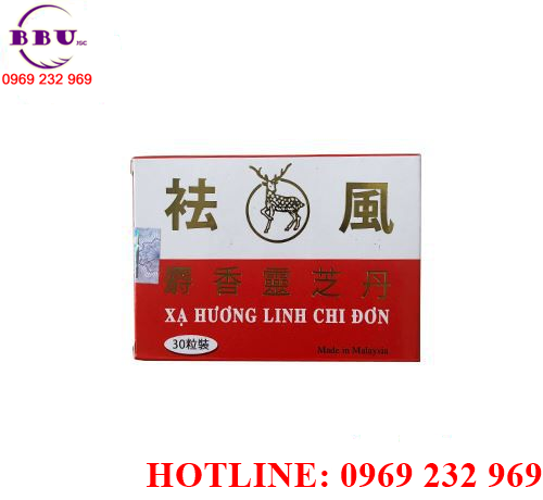 Xạ hương linh chi đơn hỗ trợ điều trị bệnh xương khớp giá tốt