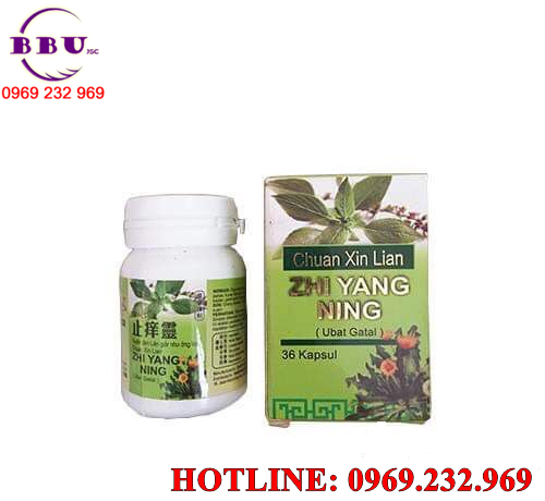 Xuyên tâm liên giải như ơng linh thanh nhiệt giải độc
